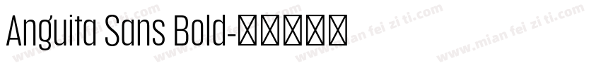 Anguita Sans Bold字体转换